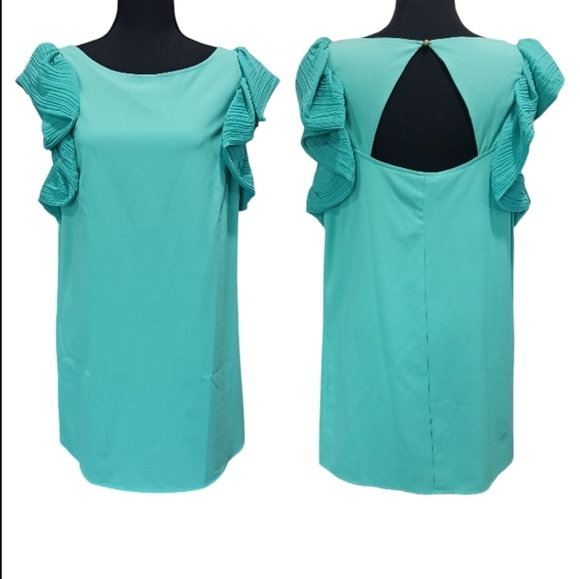 Ark & Co Flounce Sleeve Mini Shift Dress - Picture 1 of 8